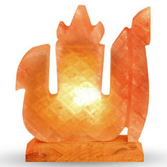 Allah Name Salt Lamp