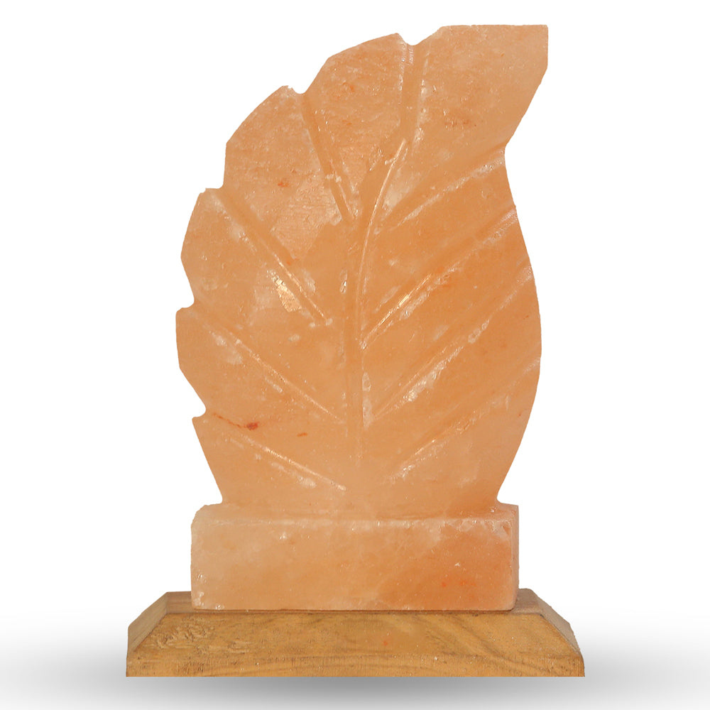 Leaf Salt Lamp