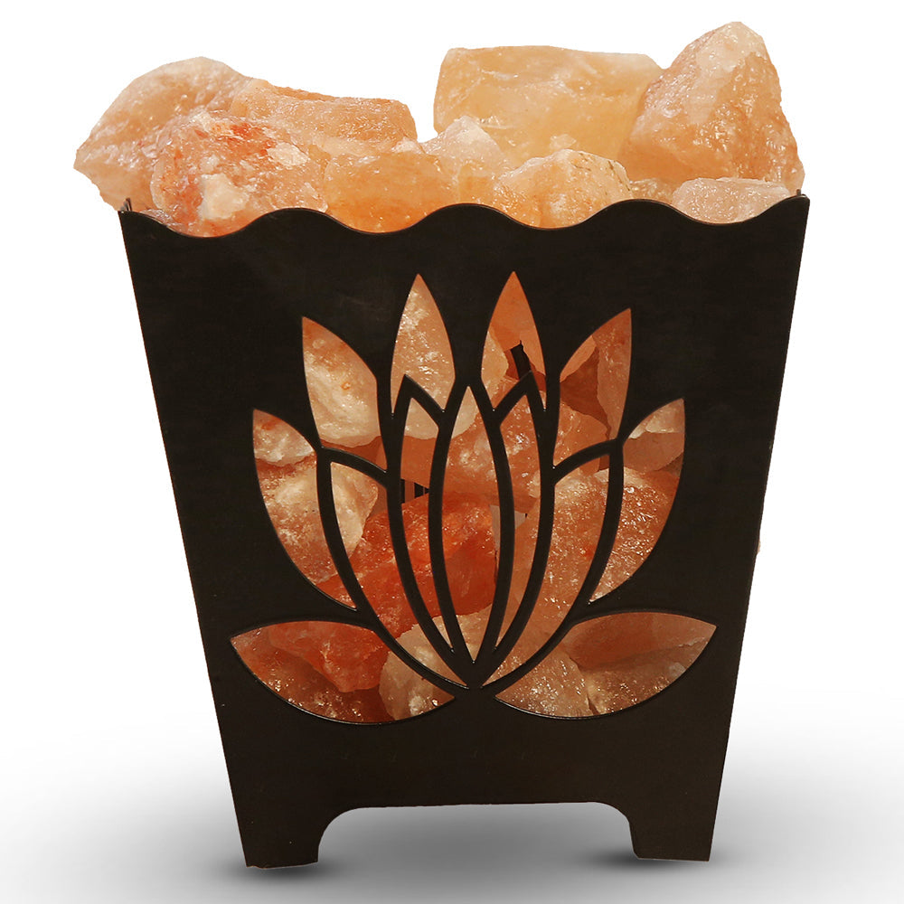 Iron Leaflet Basket Salt Lamp