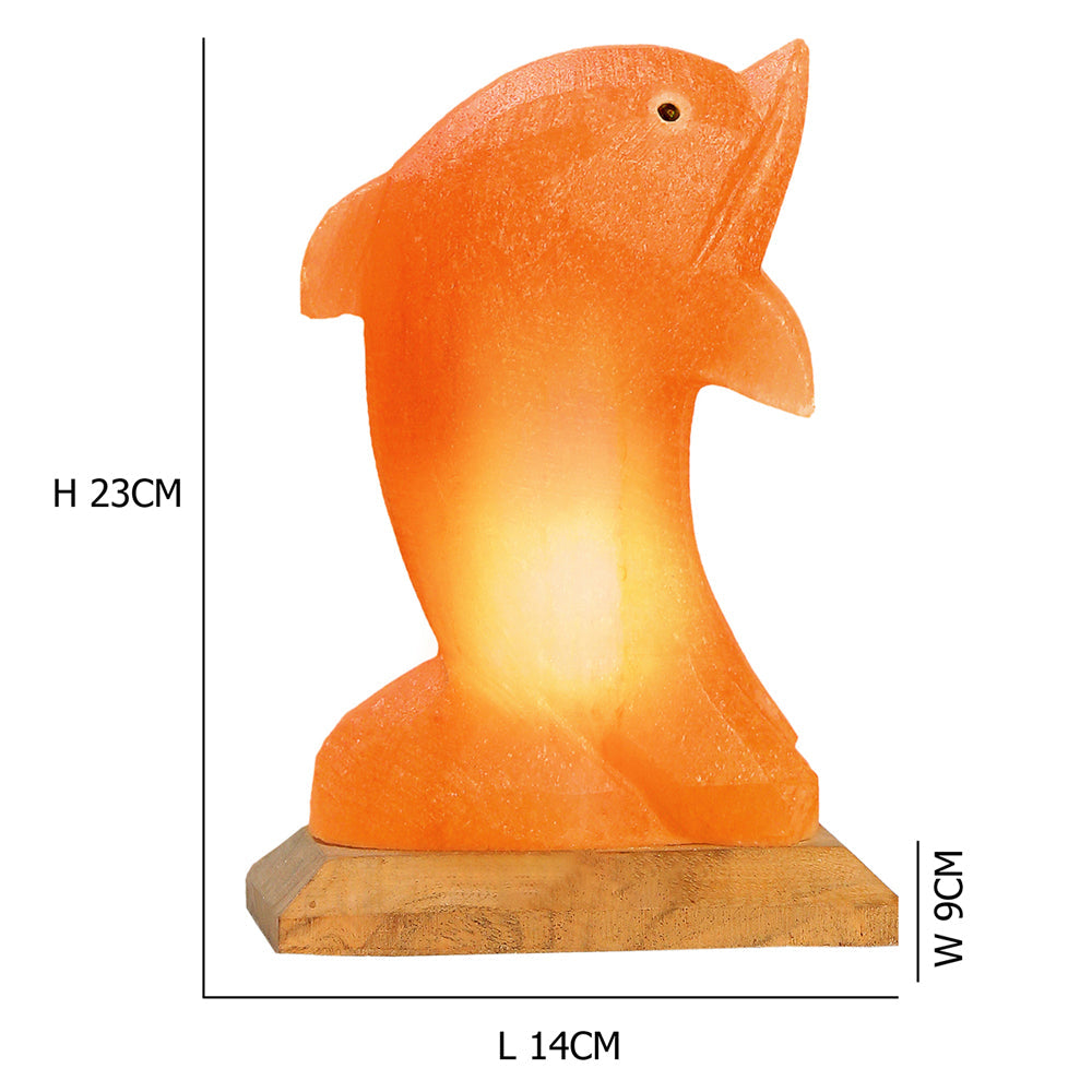 Dolphin Salt Lamp