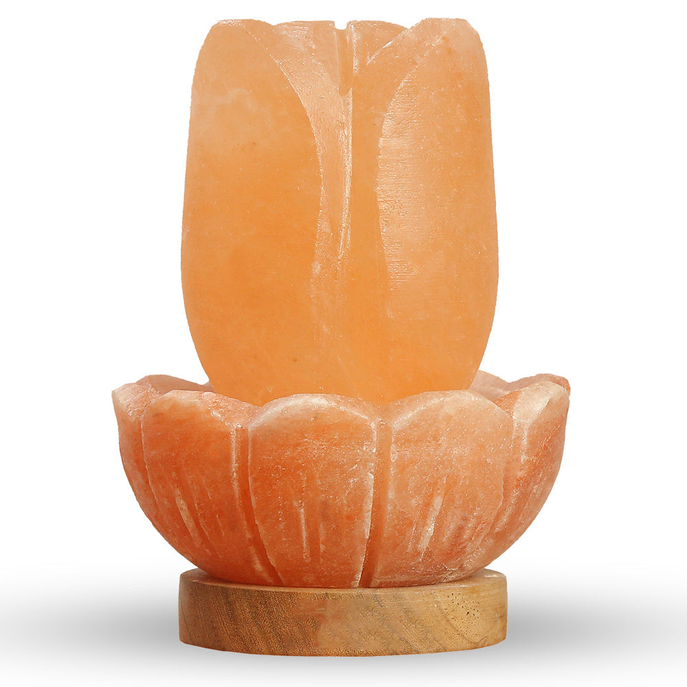 Flower Salt Lamp